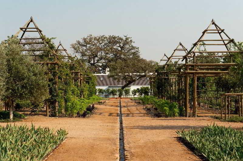 Babylonstoren Simondium Exteriér fotografie