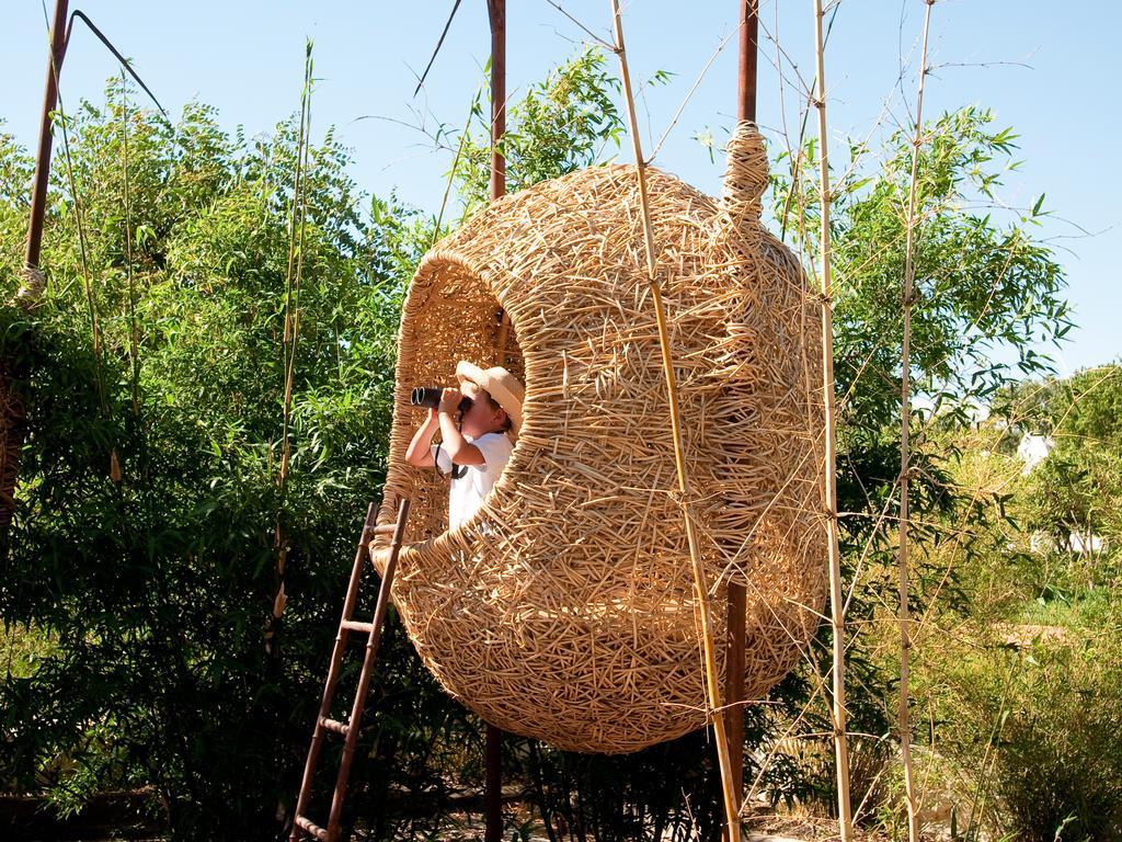 Babylonstoren Simondium Exteriér fotografie