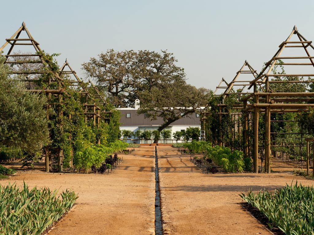 Babylonstoren Simondium Exteriér fotografie